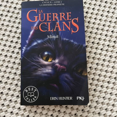 Warriors - Book