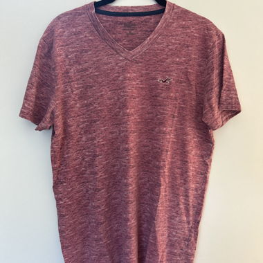 Hollister V-Neck T-Shirt