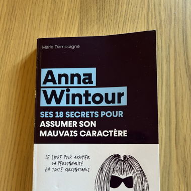 Anna Wintour, ses 18 secrets pour assumer son mauv