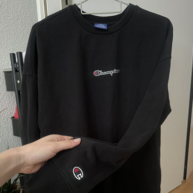 Champion sweatshirt 