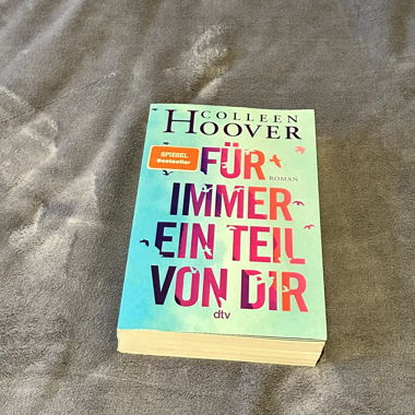 Colleen Hoover, Per sempre una parte di te