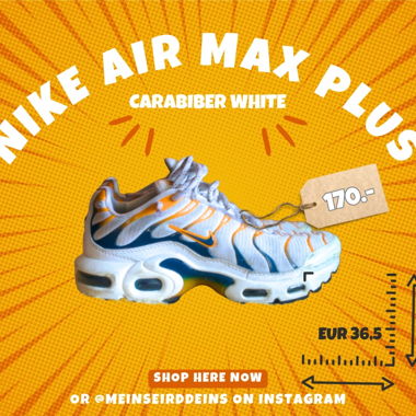 Nike air max plus 