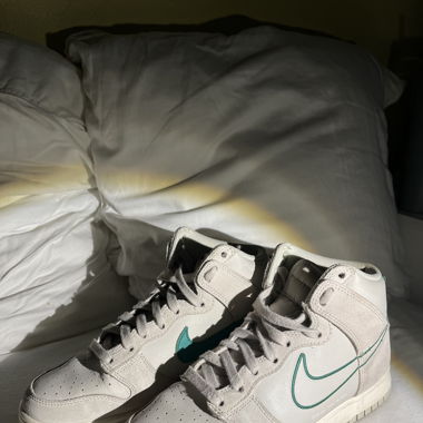 Nike Dunks High