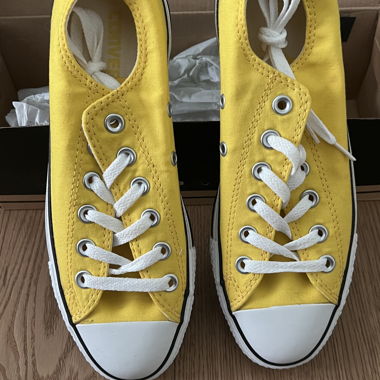 Converse Gr. 38 ungetragen