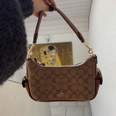 Borsa Coach