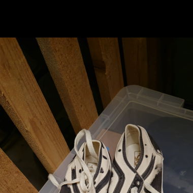 Vans shoes
