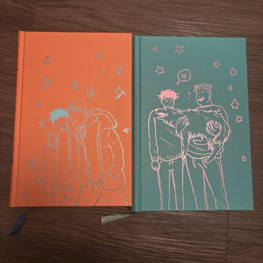 Heartstopper édition collector tome 1 et 2