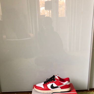 Nike Dunk Chicago