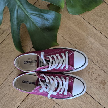 Converse bordeaux Grösse 37