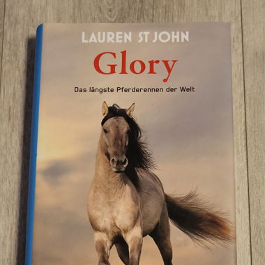 Erwachsenen Buch