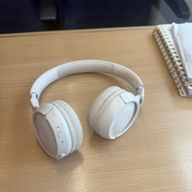 JBL Headphones 