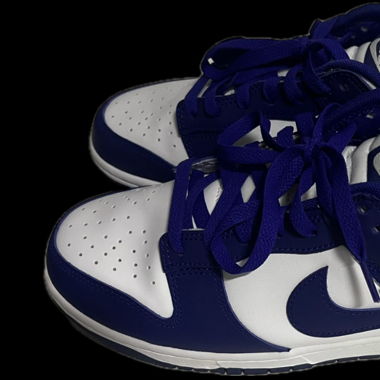 Nike dunks New