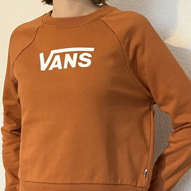 Vans Pullover braun
