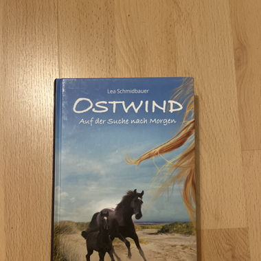 Buch: OSTWIND- auf der Suche nach Morgen