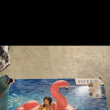 Grose flamingo 