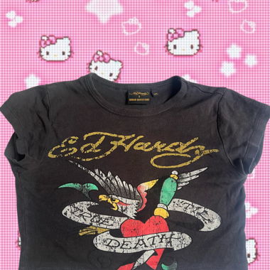 Ed hardy x Urban Outfitters crop top🤍