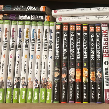 Manga Collection 
