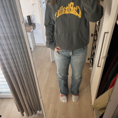 carharrt hoodie