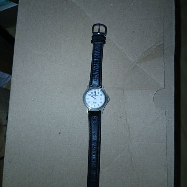 Timex Expedition Wristwatch