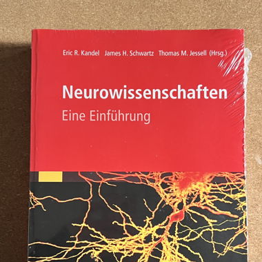 Neurowissenschaften - Eine Einführung