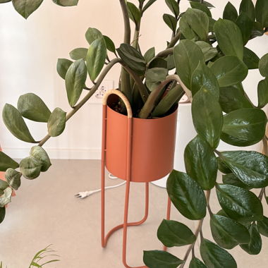 Pot with Stand