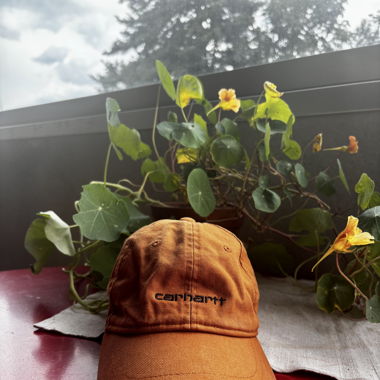 Cappellino Carhartt