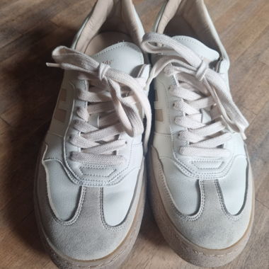 Sneaker Falmigos Life