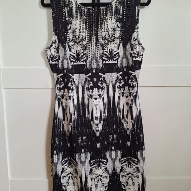 Fitted Dress
