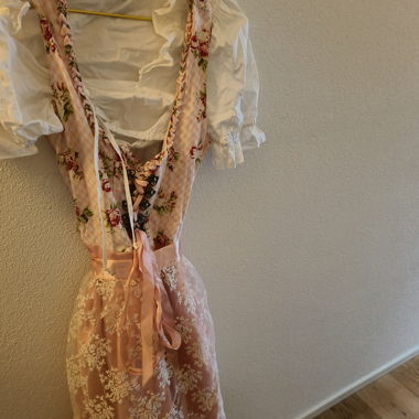 Dirndl (chicoree)