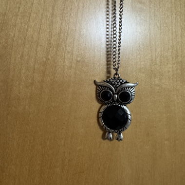 Long necklace with owl pendant