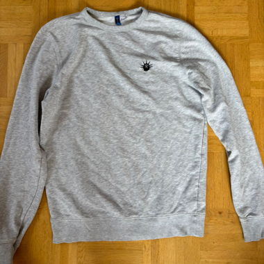 Pulli mit freiheitsstatur