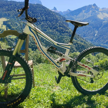 Vélo de descente status1