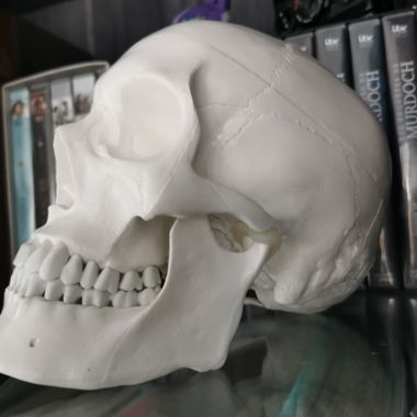 Cranio