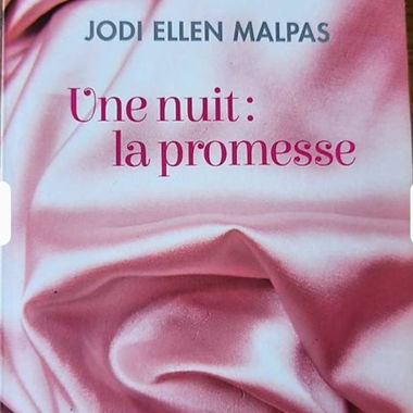 Eine Nacht: Das Versprechen von Jodi Ellen Malpas