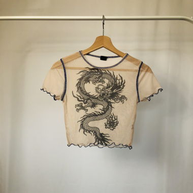 dragon mesh crop top