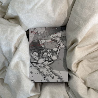 Set manga Attack on Titan volumi 6–10