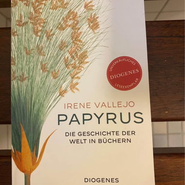 Papyrus di Irene Vallejo. Affascinante, istruttivo