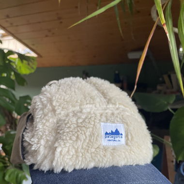 Casquette patagonia 