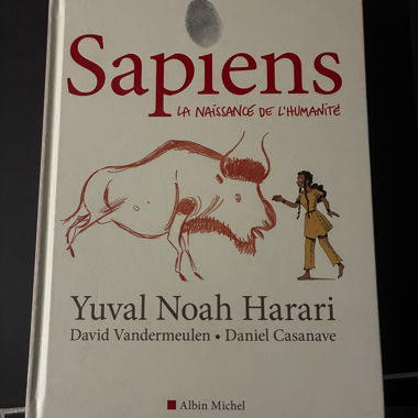Sapiens: The Birth of Humankind