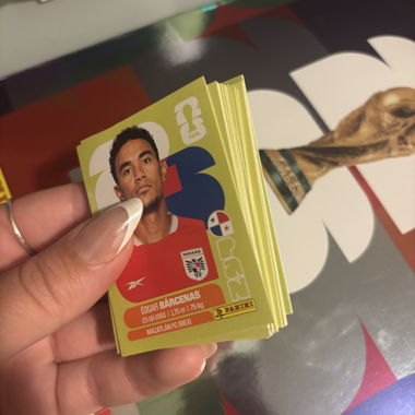 Panini Football Cards