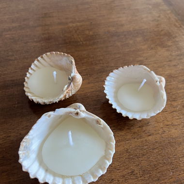 Muschelkerzen aus Bienenwachs