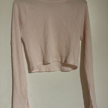 Long-sleeve crop top