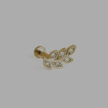 Verpacktes Gold Piercing