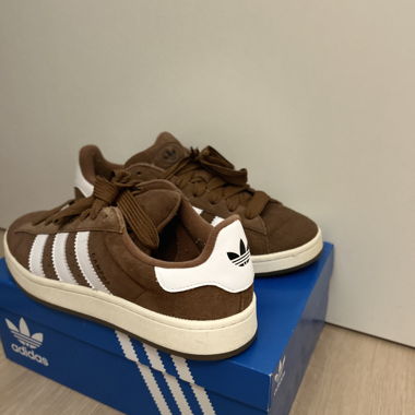 Campus marrone - Adidas (44)