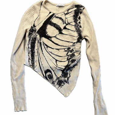 Asymmetrical Top