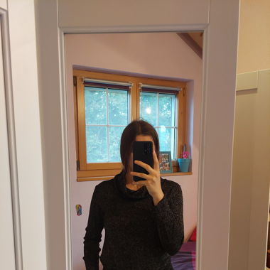 Glitzerpullover