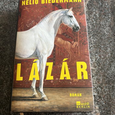 Lazar von Nelio Biedermann