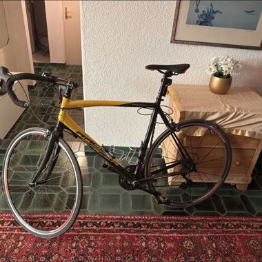 Raleigh Road Bike - Ready for Spring Adventures!  