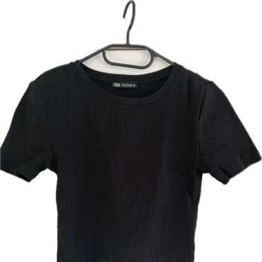 ZARA Crop Top