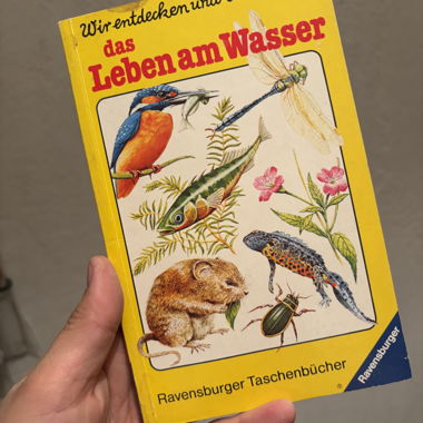 Various guides, hedgehogs, life by the water, land birds